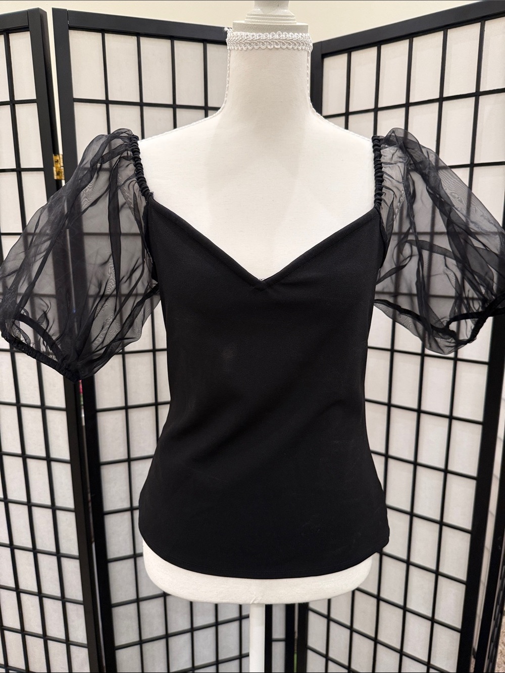 Never worn Sheer Puff Sleeve Black Women's Top